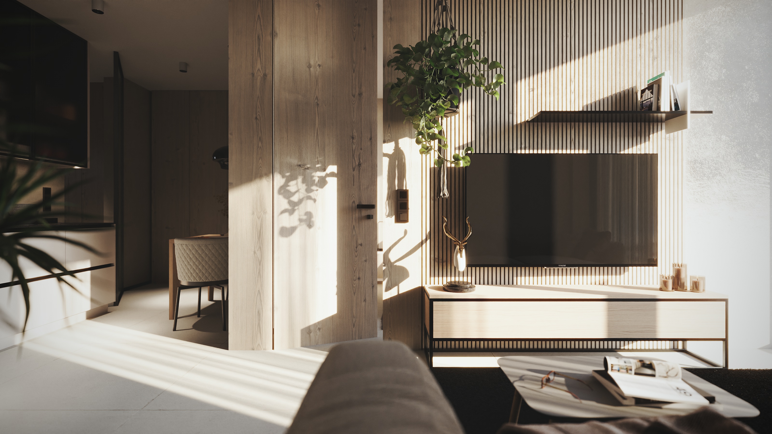 project-detail-image