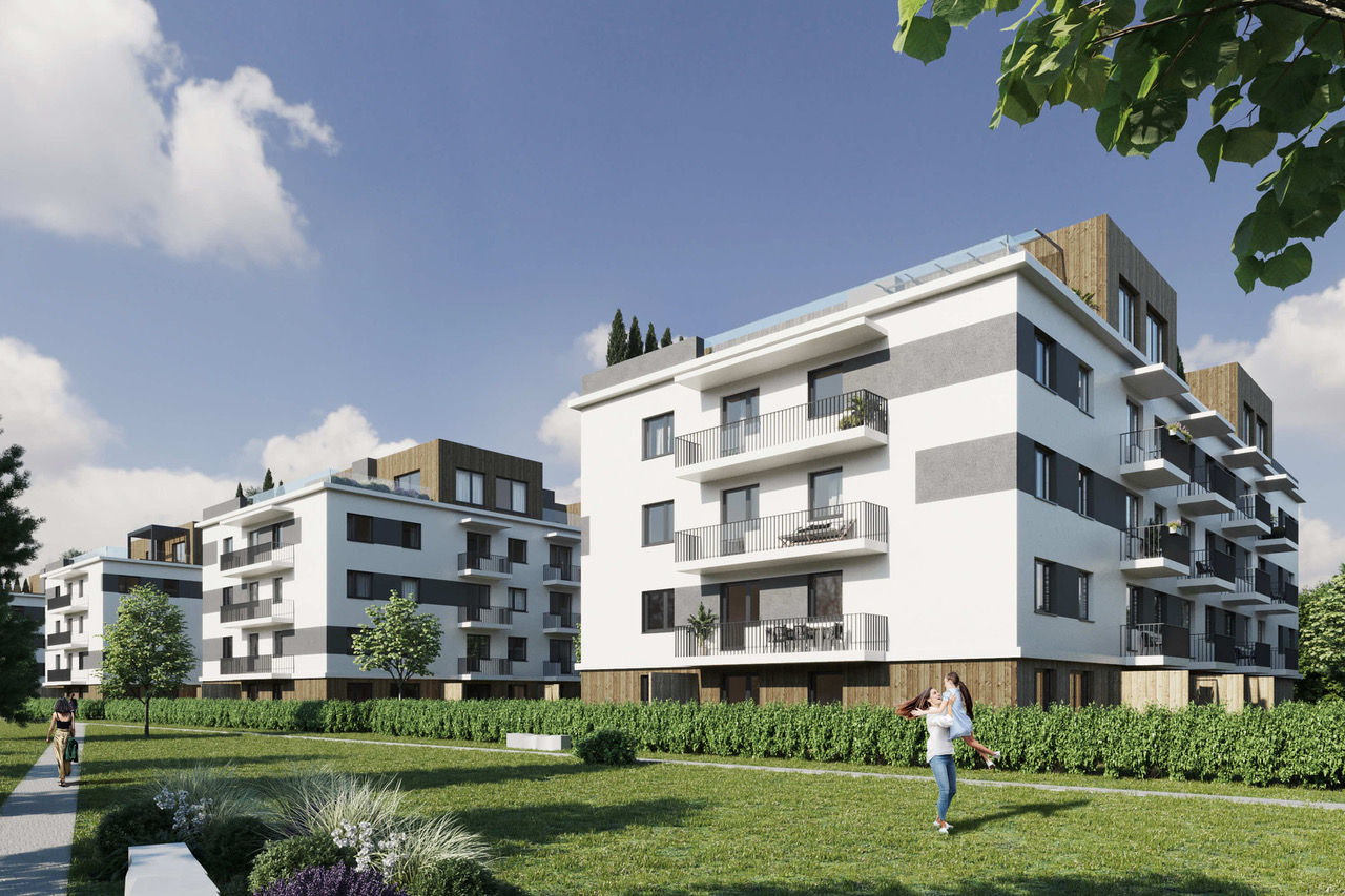 project-detail-image